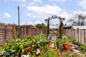 Garden- click for photo gallery